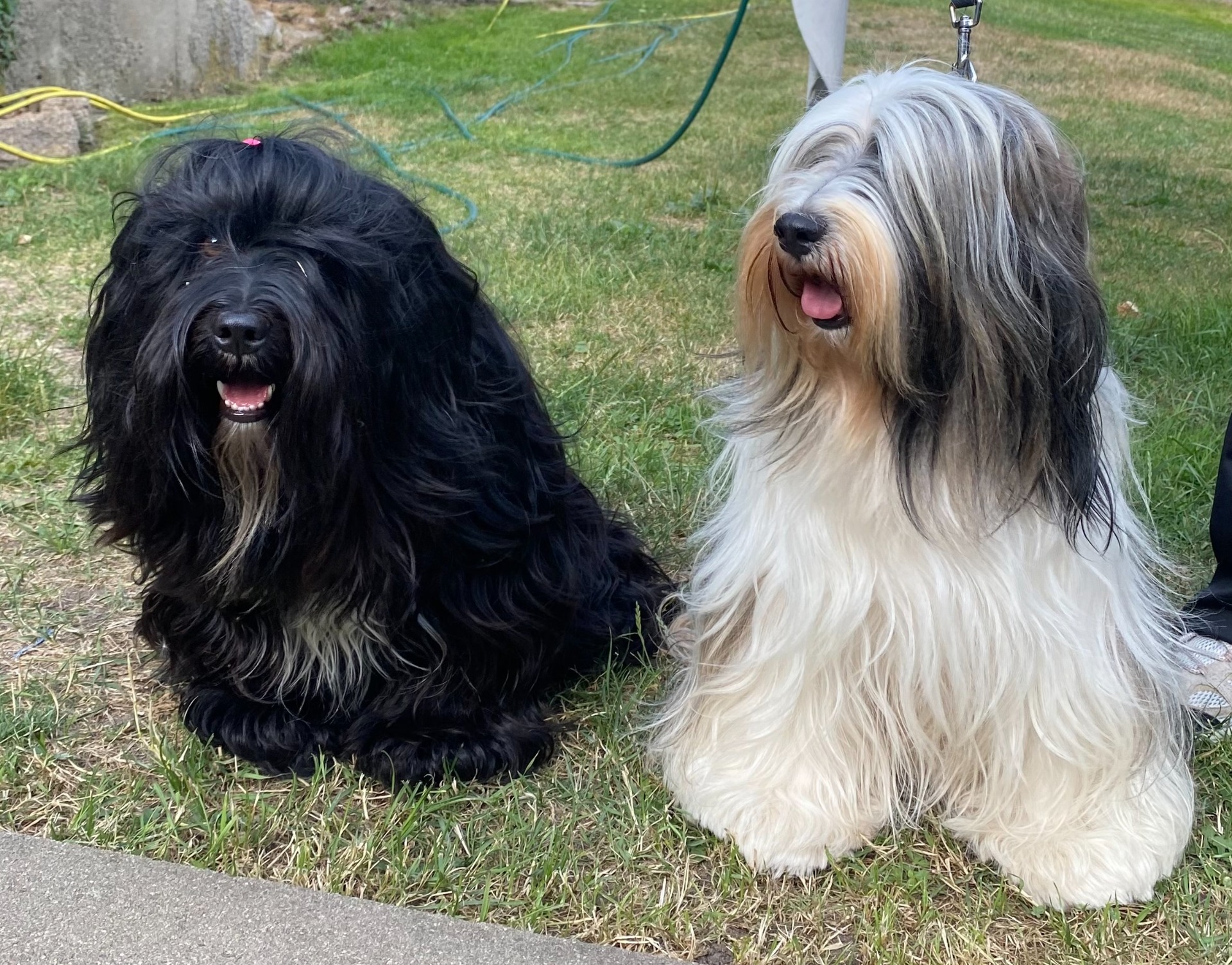 S maminkou Vun Shing od Vilzonky