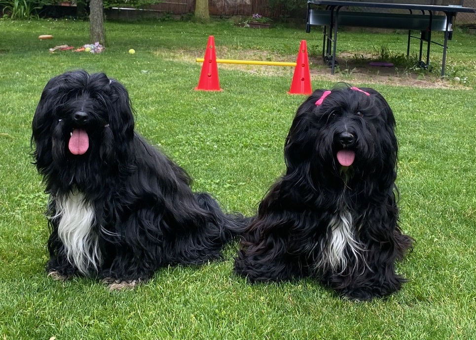 S tatínkem Waterley What a Hoot